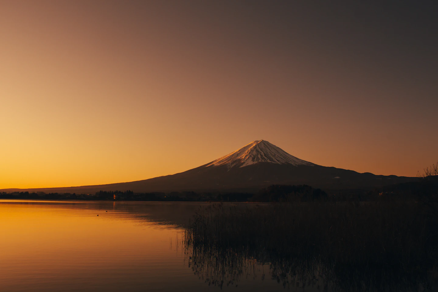 Mount Fuji above a lake at dawn