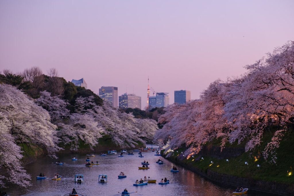 Cherry blossoms along the Sumida River in Tokyo in spring